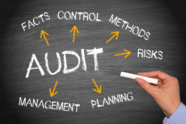 Regulatory Audits